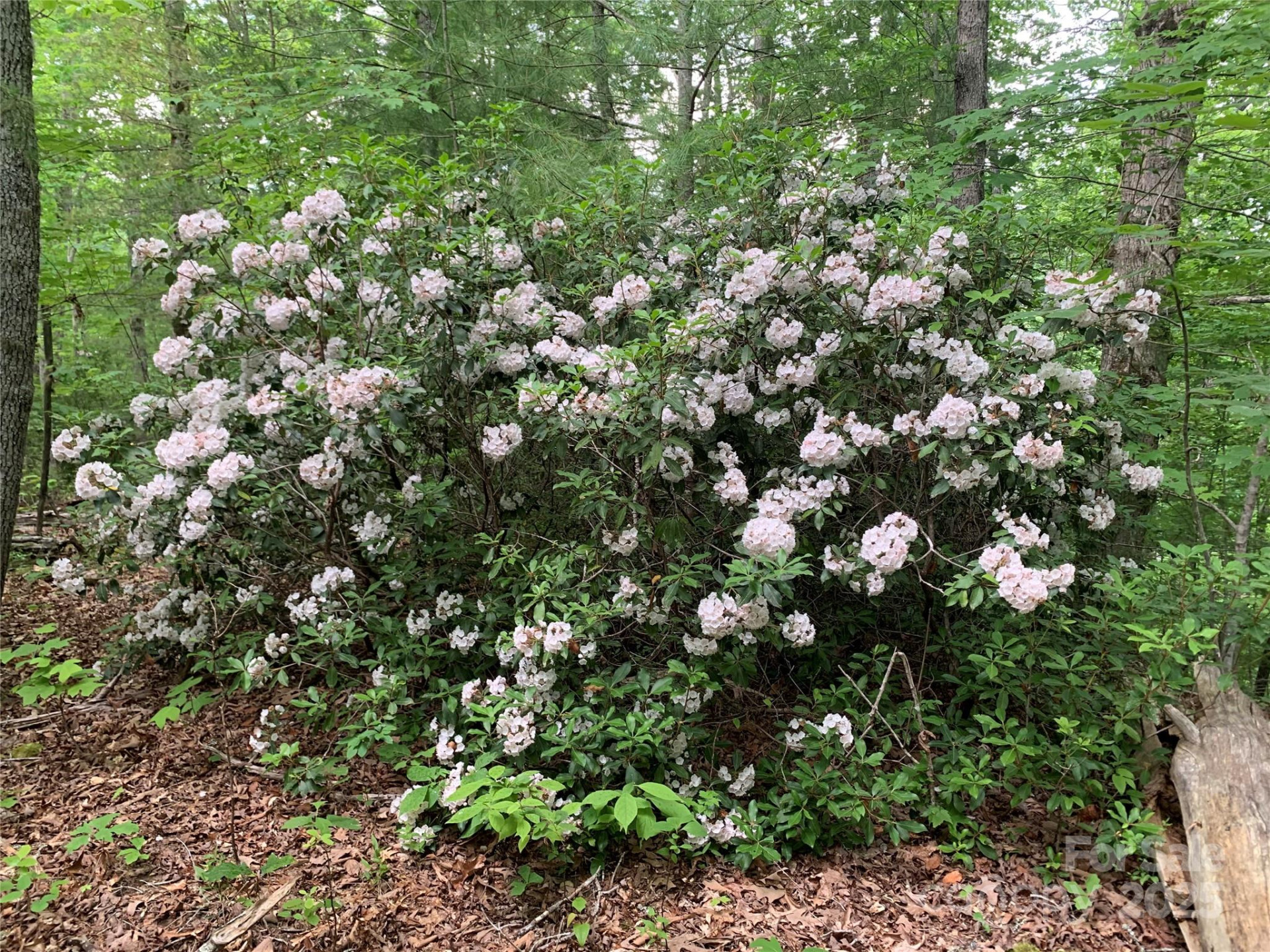 Lot 108-3 Rocky Bluff Drive #108-3 - Photo 15