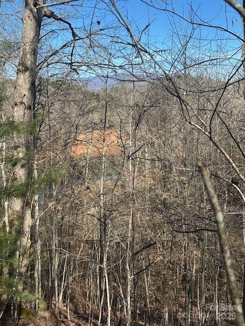 Lot 108-3 Rocky Bluff Drive #108-3 - Photo 20