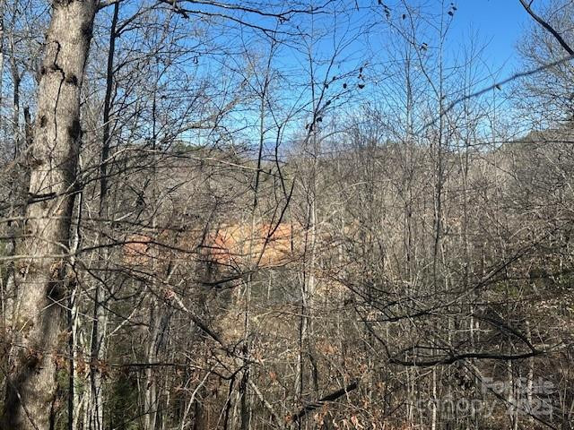 Lot 108-3 Rocky Bluff Drive #108-3 - Photo 21