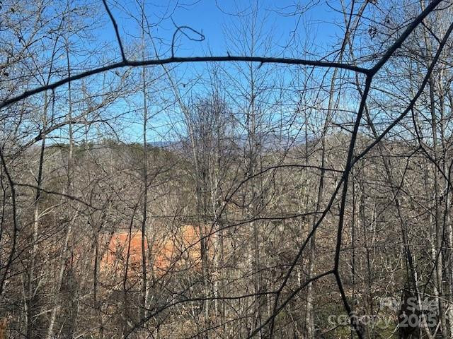 Lot 108-3 Rocky Bluff Drive #108-3 - Photo 22