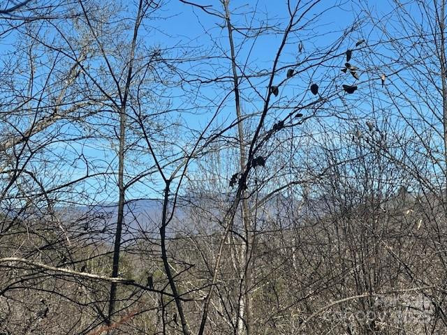 Lot 108-3 Rocky Bluff Drive #108-3 - Photo 4