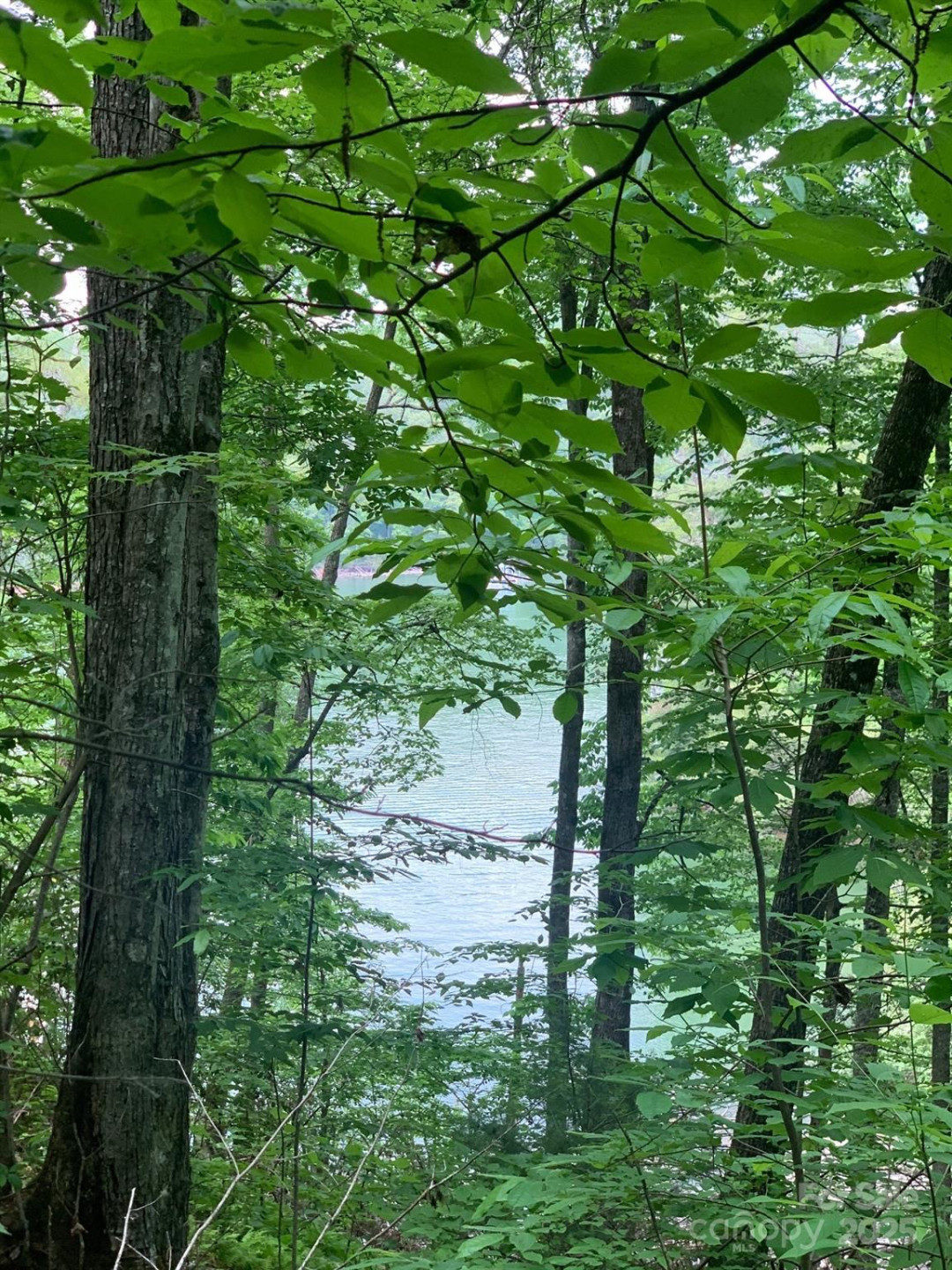 Lot 108-3 Rocky Bluff Drive #108-3 - Photo 5