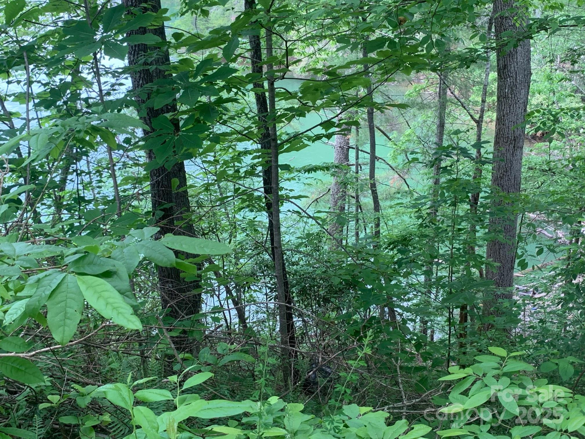 Lot 108-3 Rocky Bluff Drive #108-3 - Photo 6