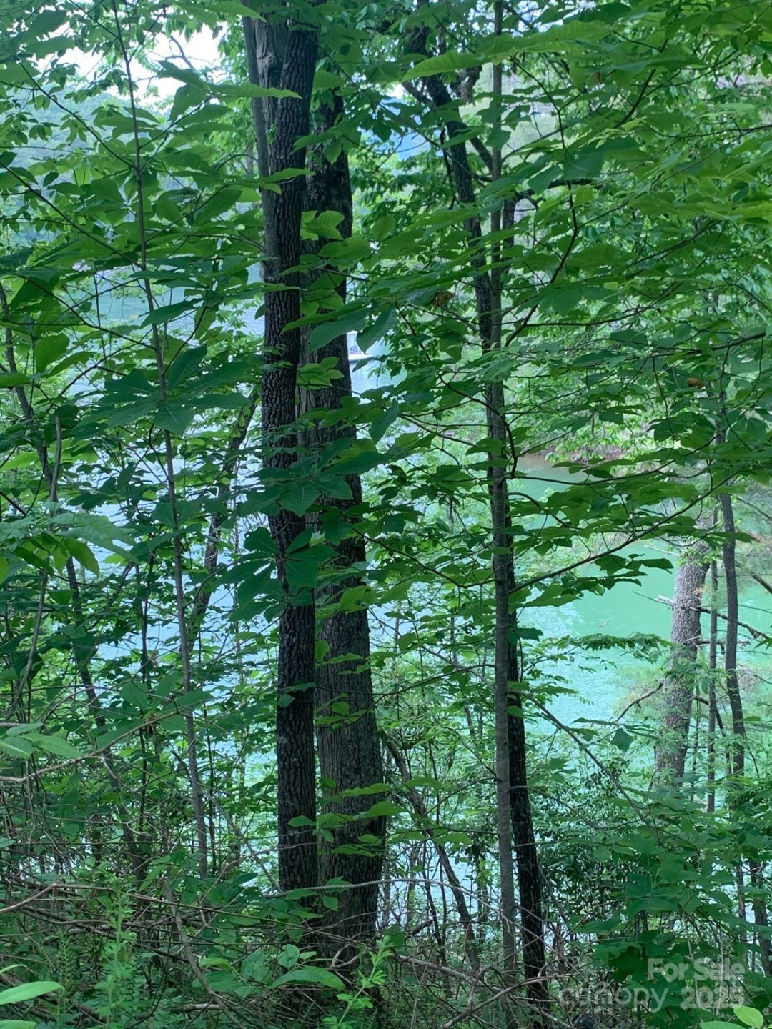 Lot 108-3 Rocky Bluff Drive #108-3 - Photo 7