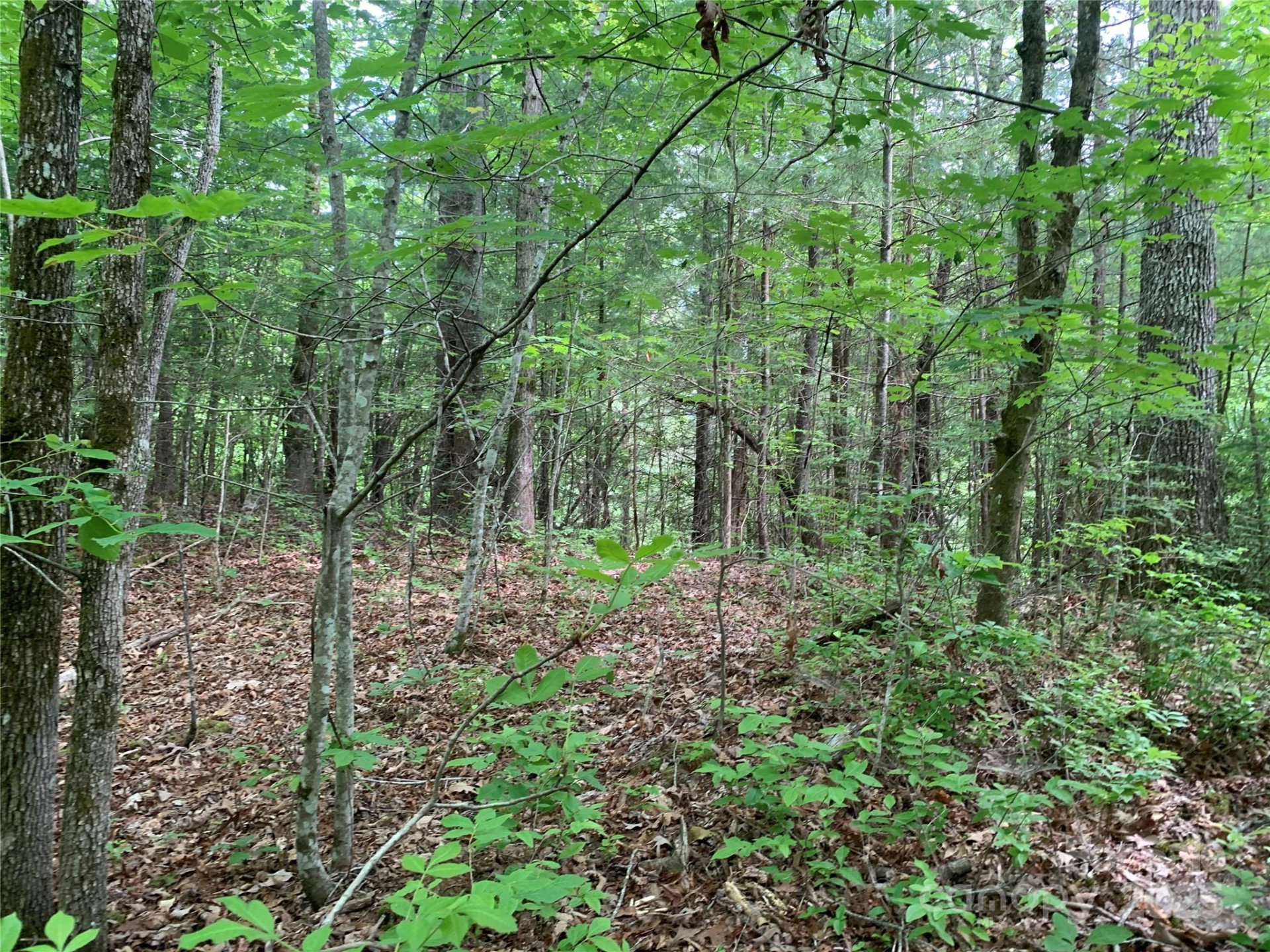 Lot 108-3 Rocky Bluff Drive #108-3 - Photo 8