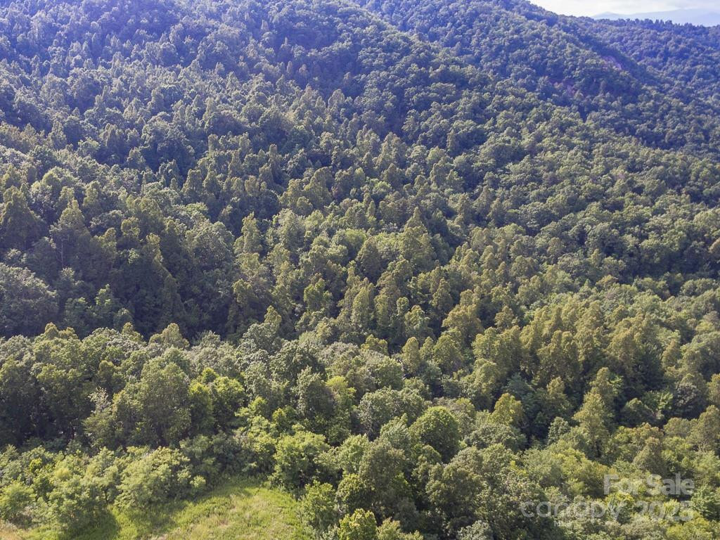 0 Grey Rock Parkway #288 - Photo 16