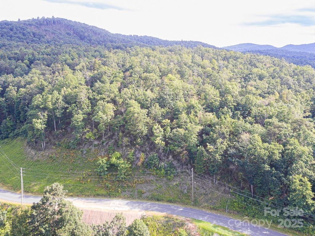 0 Grey Rock Parkway #288 - Photo 17