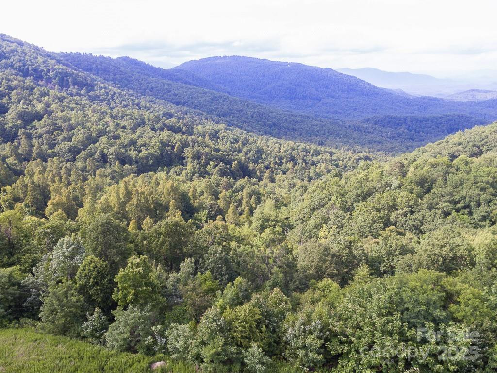 0 Grey Rock Parkway #288 - Photo 7