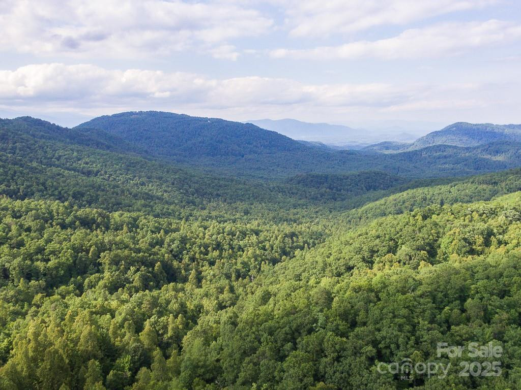 0 Grey Rock Parkway #288 - Photo 10