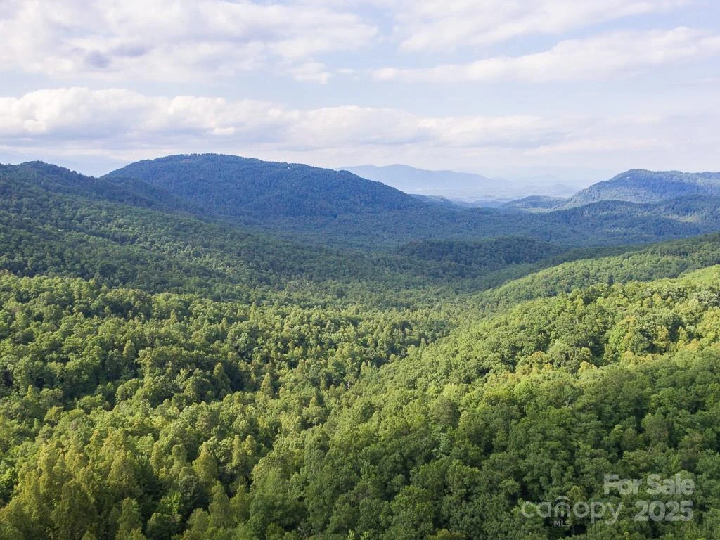 0 Grey Rock Parkway #288 - Photo 10
