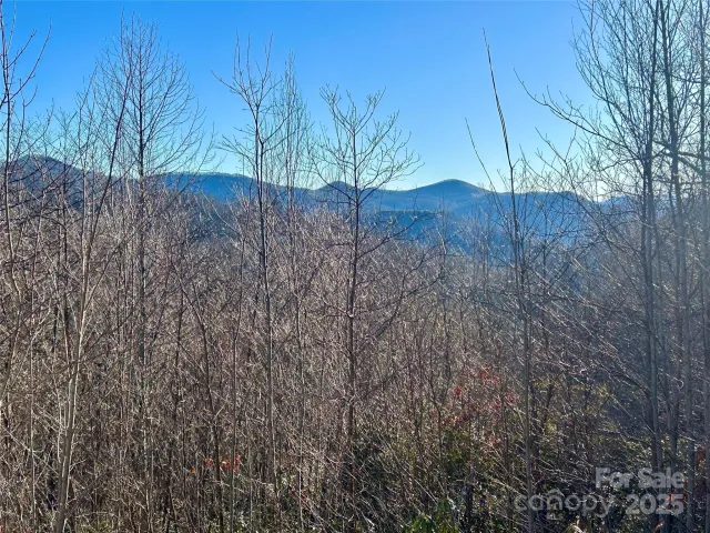 Lot 74 Freedom Way