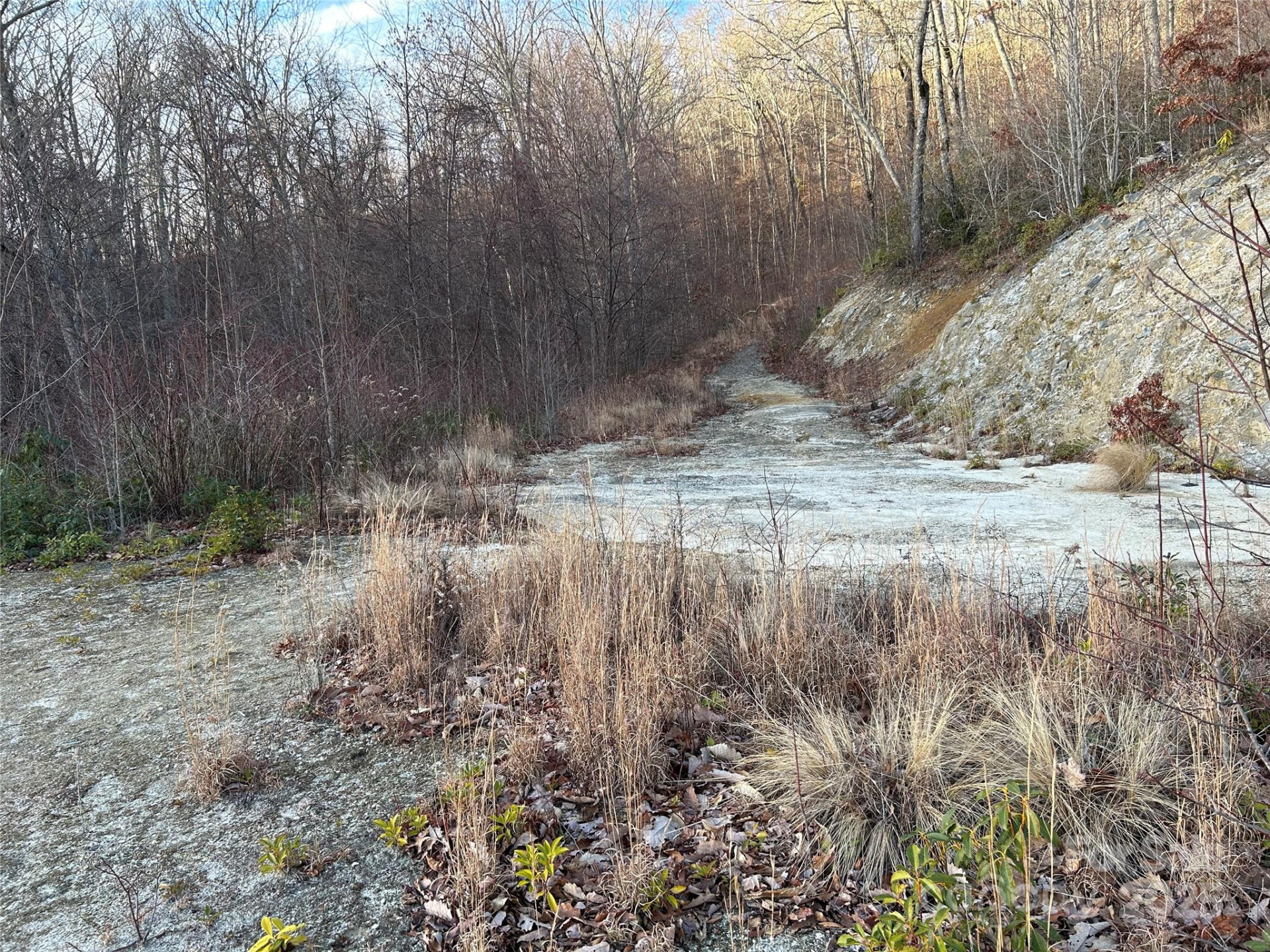 Lot 74 Freedom Way #74 - Photo 3