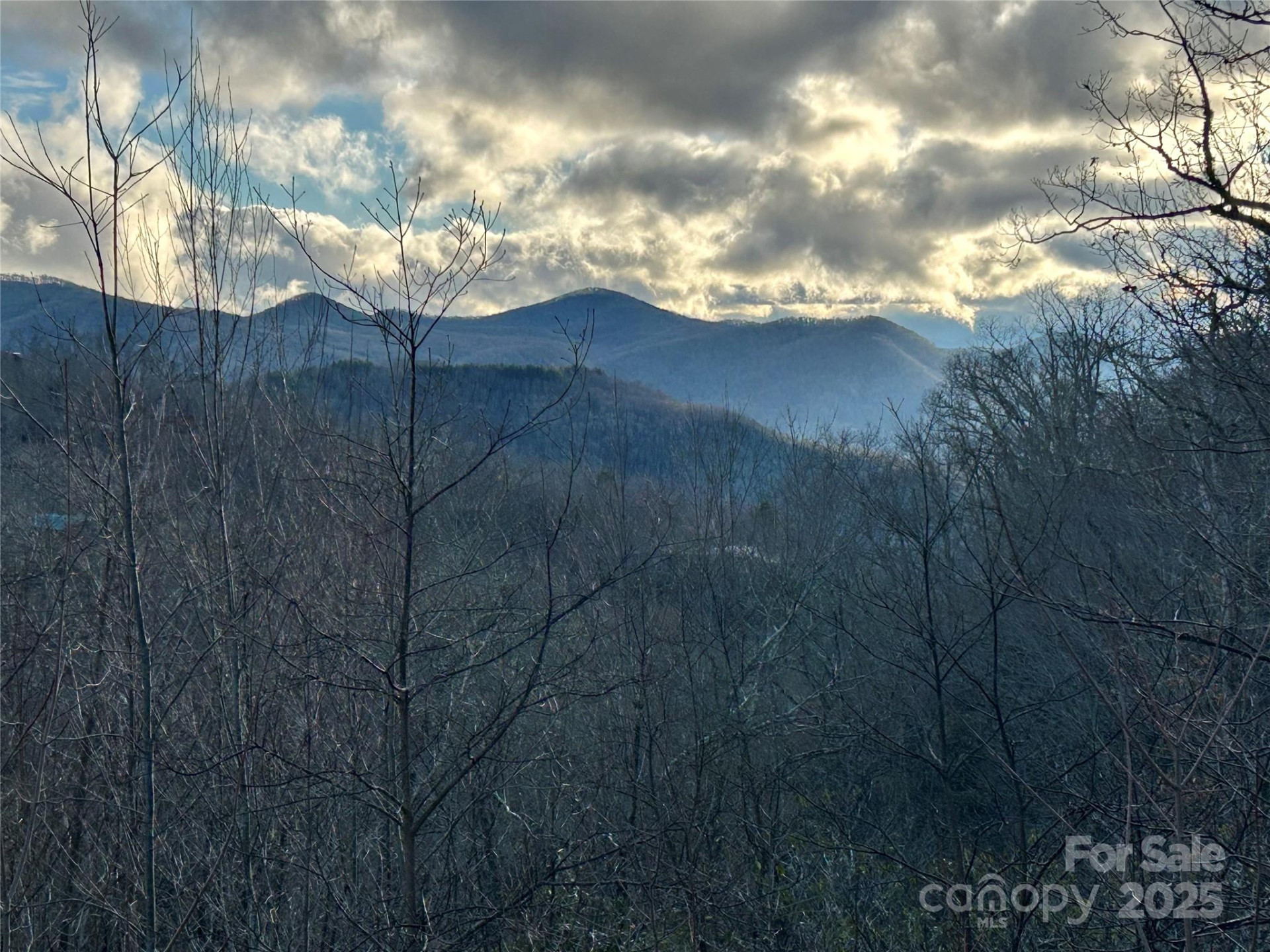 Lot 74 Freedom Way #74 - Photo 4