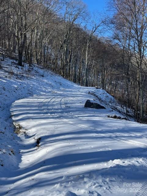 00 Wandering Trail #98