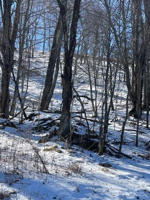 00 Wandering Trail #98 - Photo 2