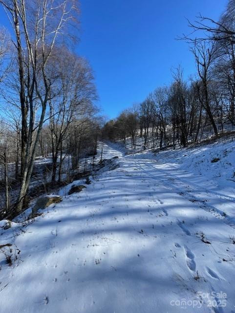 00 Wandering Trail #98 - Photo 11