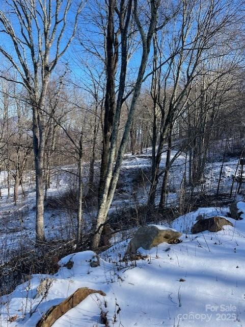 00 Wandering Trail #98 - Photo 12