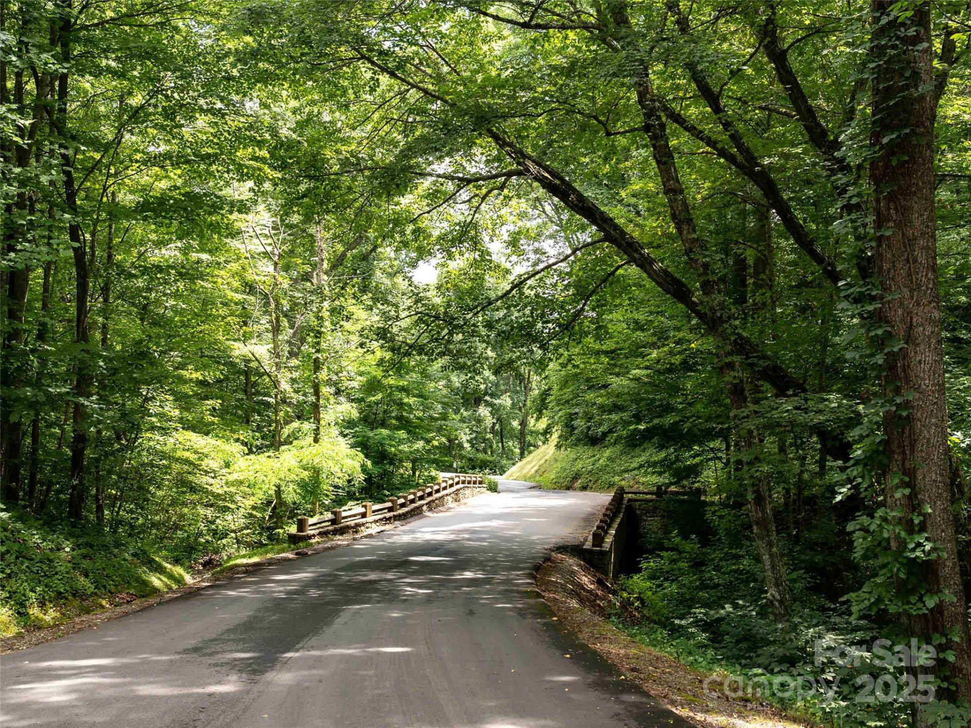 00 Wandering Trail #98 - Photo 13