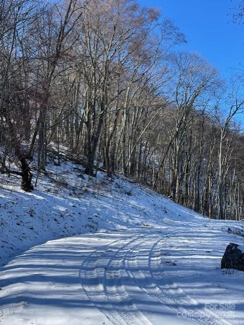 00 Wandering Trail #98 - Photo 3