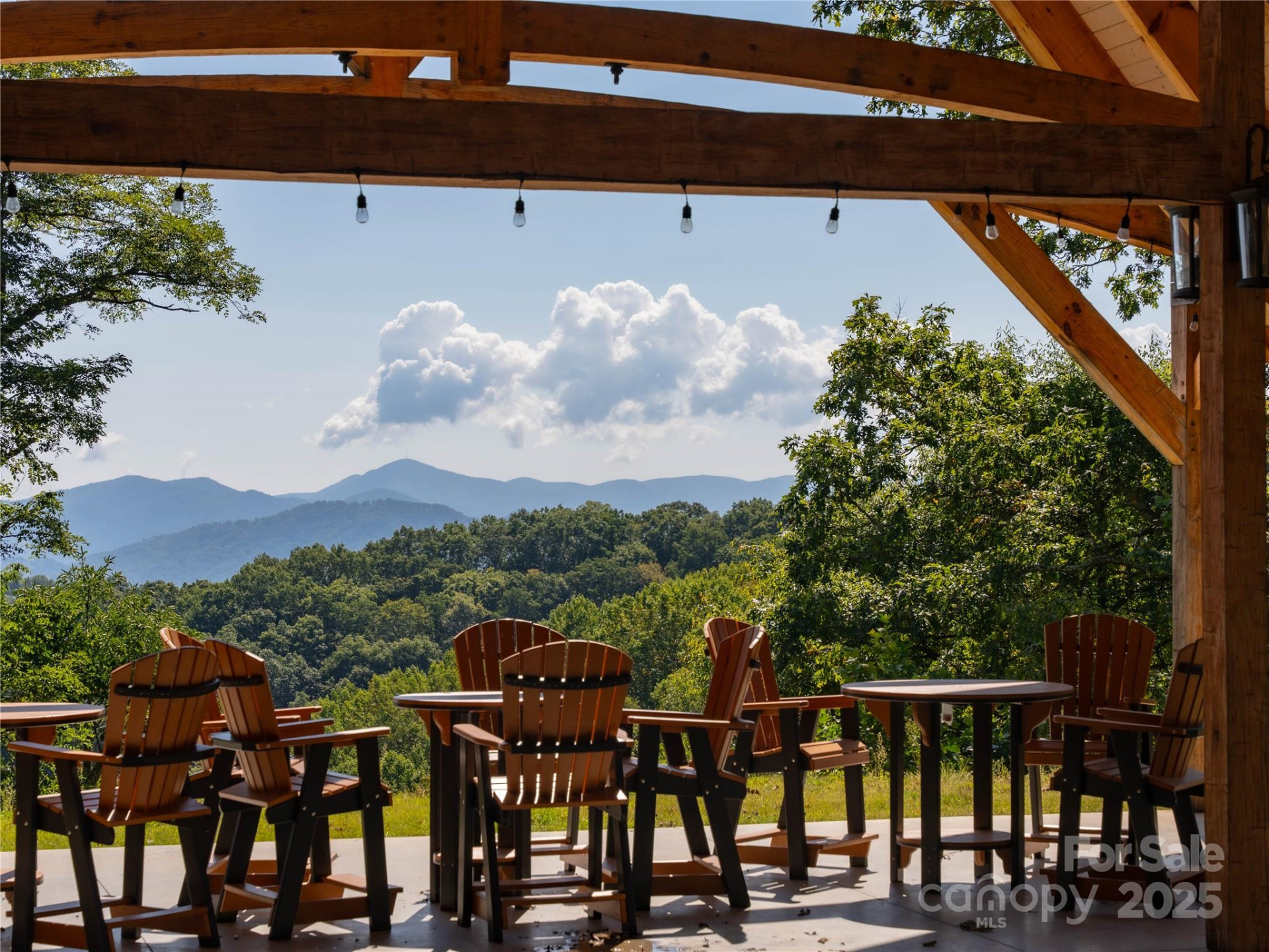 00 Wandering Trail #98 - Photo 22