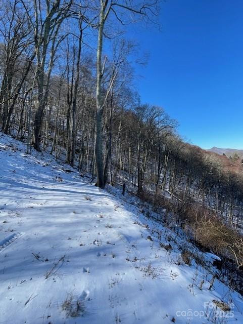 00 Wandering Trail #98 - Photo 4