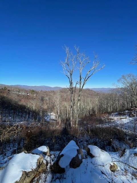 00 Wandering Trail #98 - Photo 5