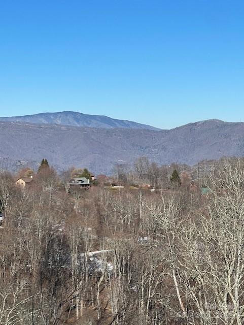 00 Wandering Trail #98 - Photo 6