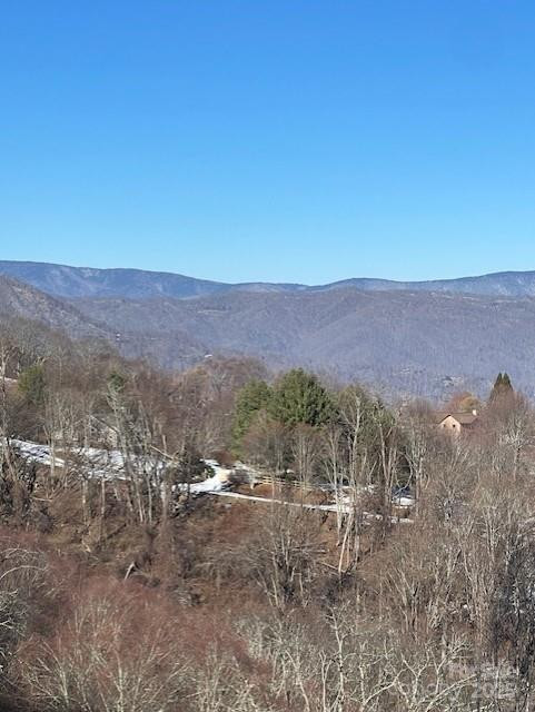 00 Wandering Trail #98 - Photo 7