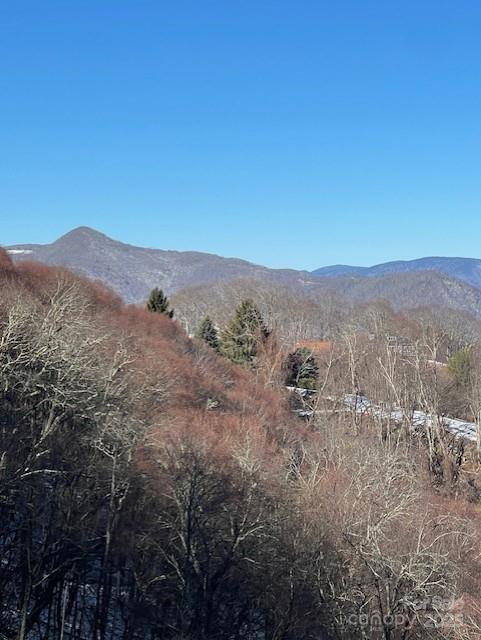 00 Wandering Trail #98 - Photo 8