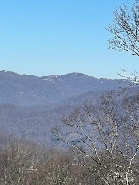 00 Wandering Trail #98 - Photo 9