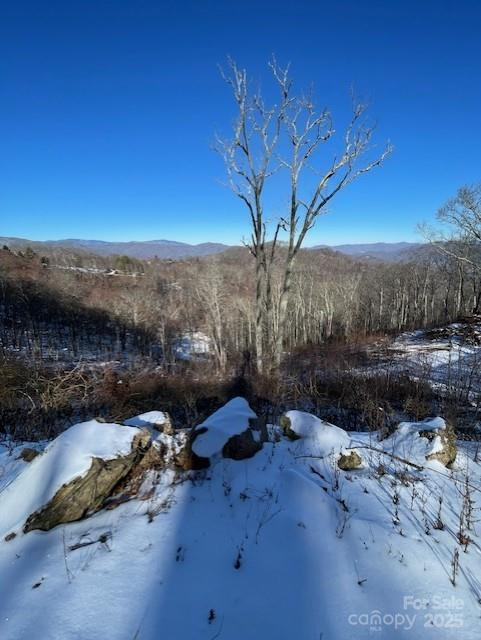 00 Wandering Trail #98 - Photo 10