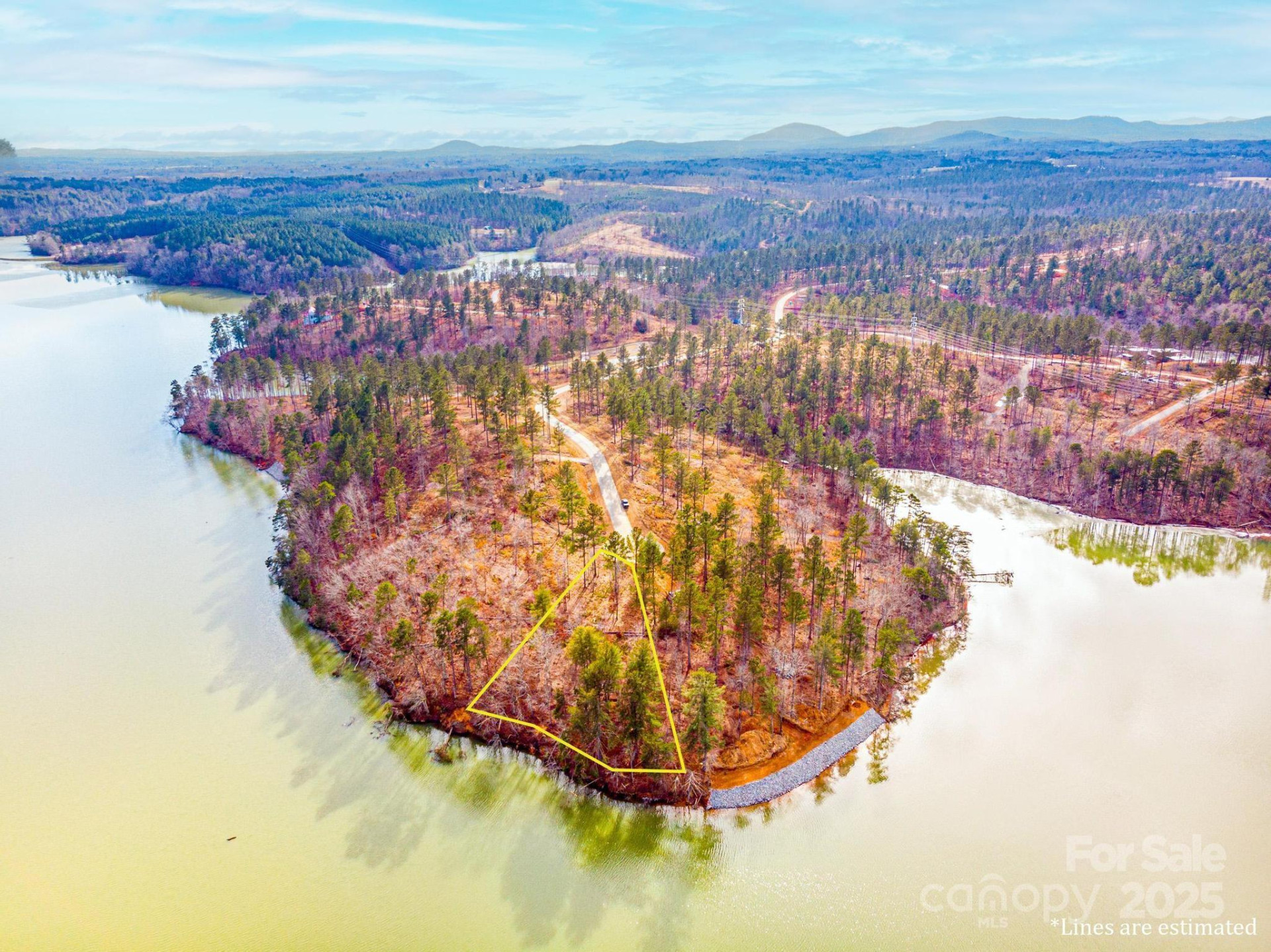 3090 Jumping Run #99 - Photo 2