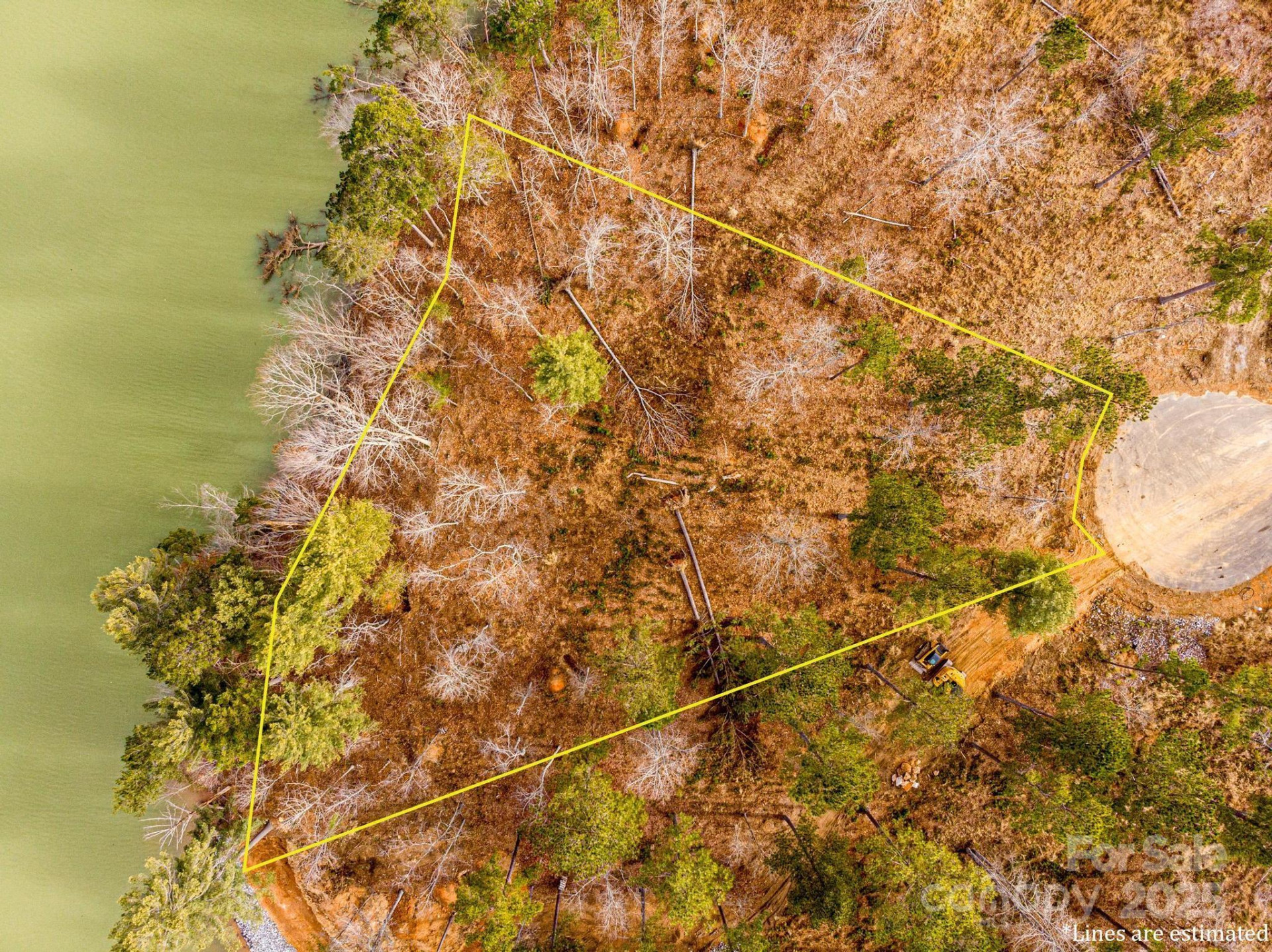 3090 Jumping Run #99 - Photo 3