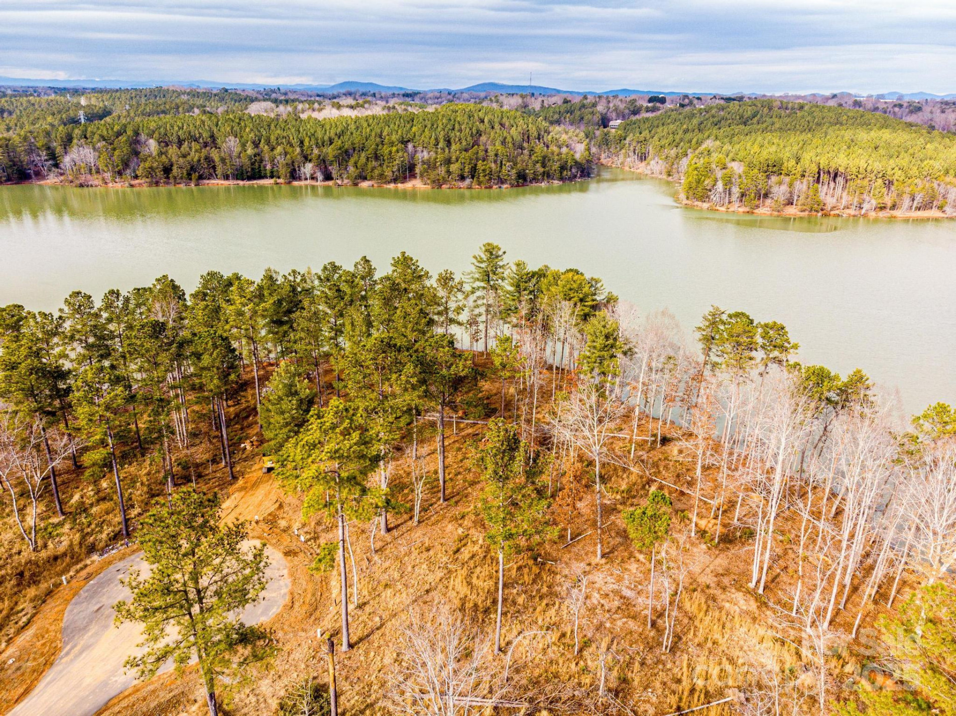 3090 Jumping Run #99 - Photo 4