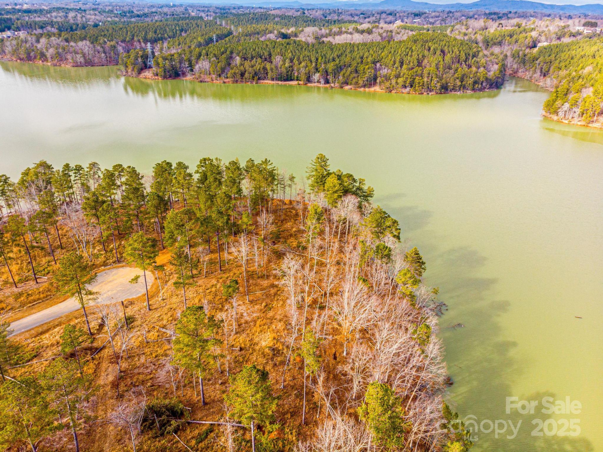 3090 Jumping Run #99 - Photo 5