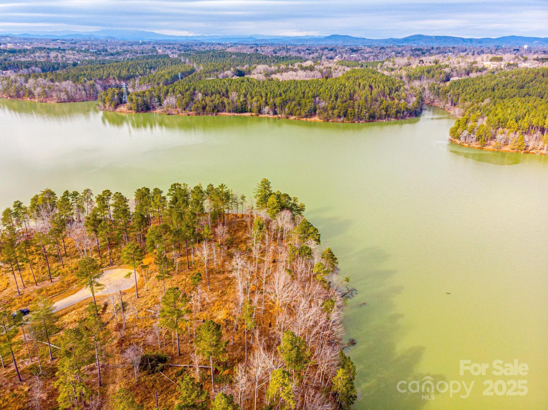 3090 Jumping Run #99 - Photo 6