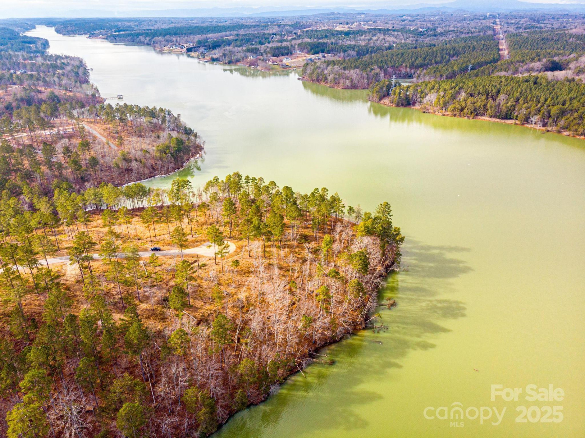 3090 Jumping Run #99 - Photo 7