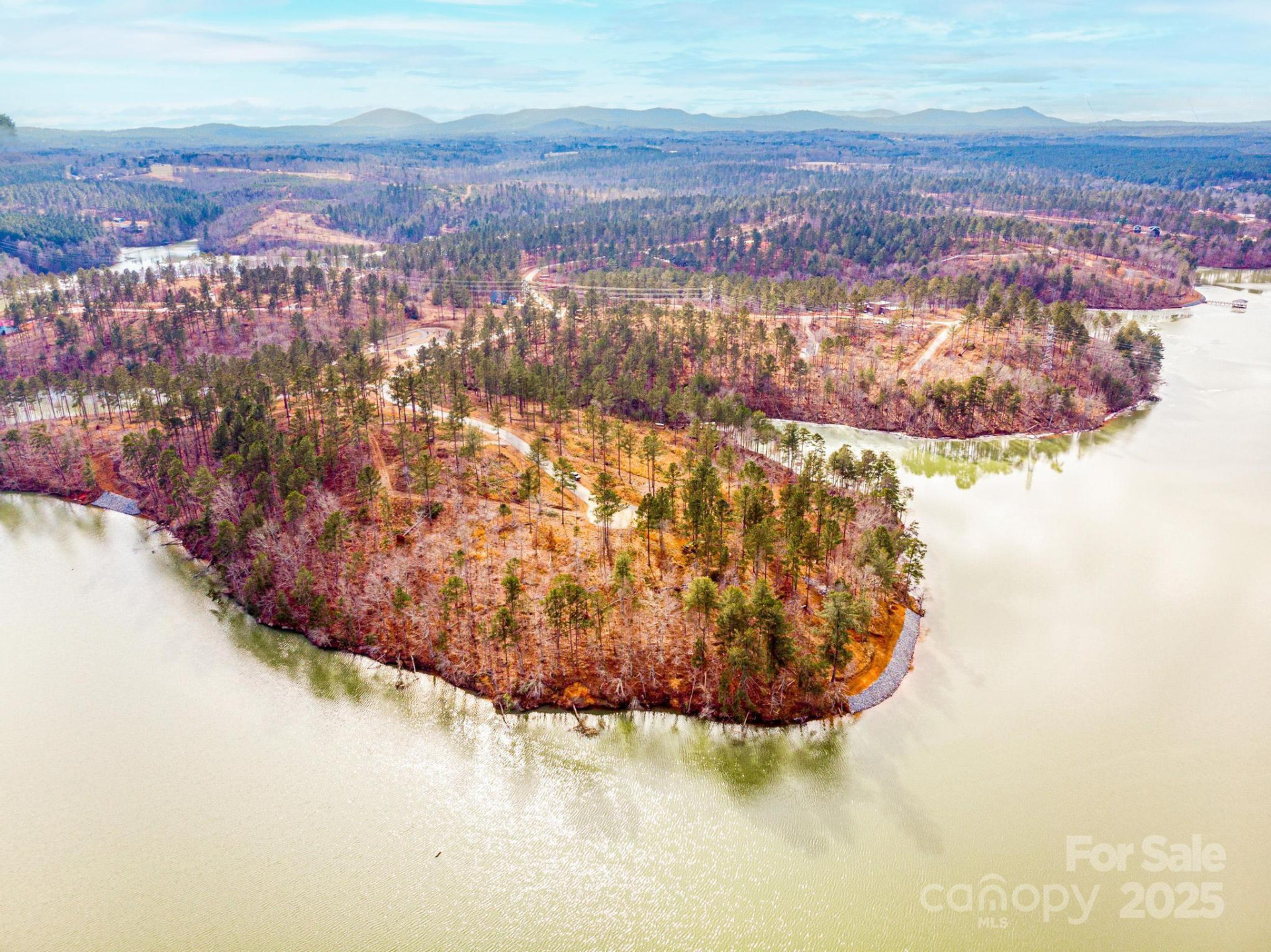 3090 Jumping Run #99 - Photo 9