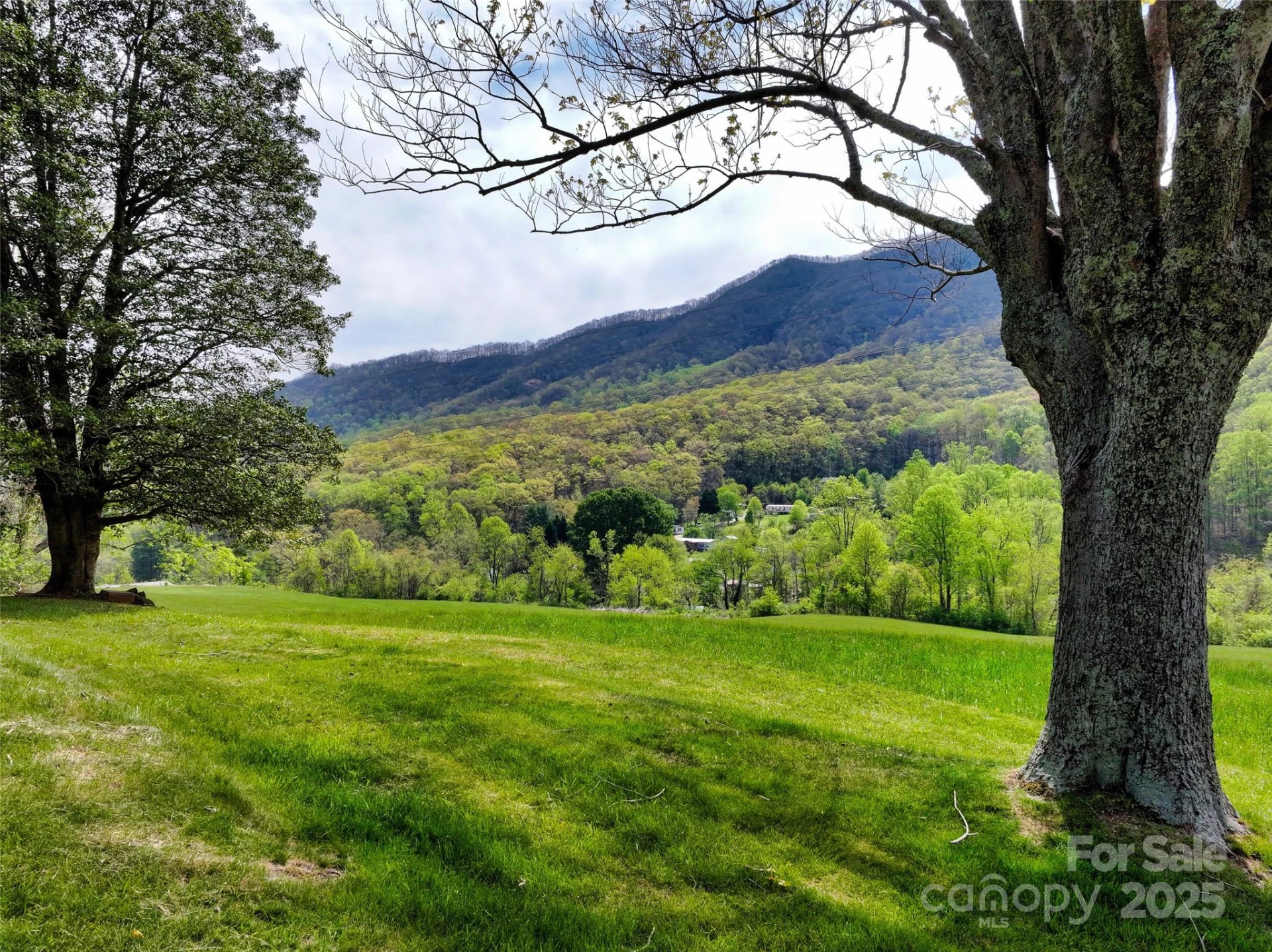 1567 Newfound Road - Photo 35