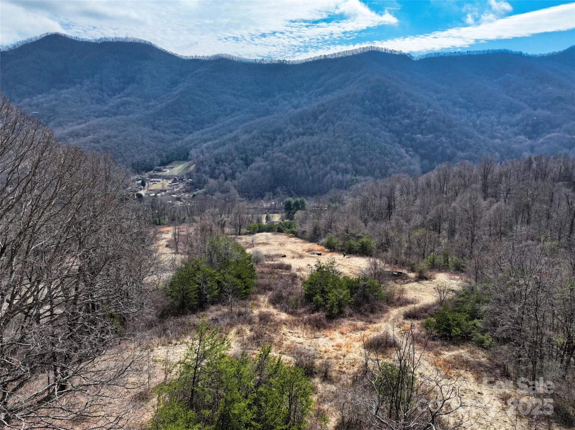 1567 Newfound Road - Photo 37
