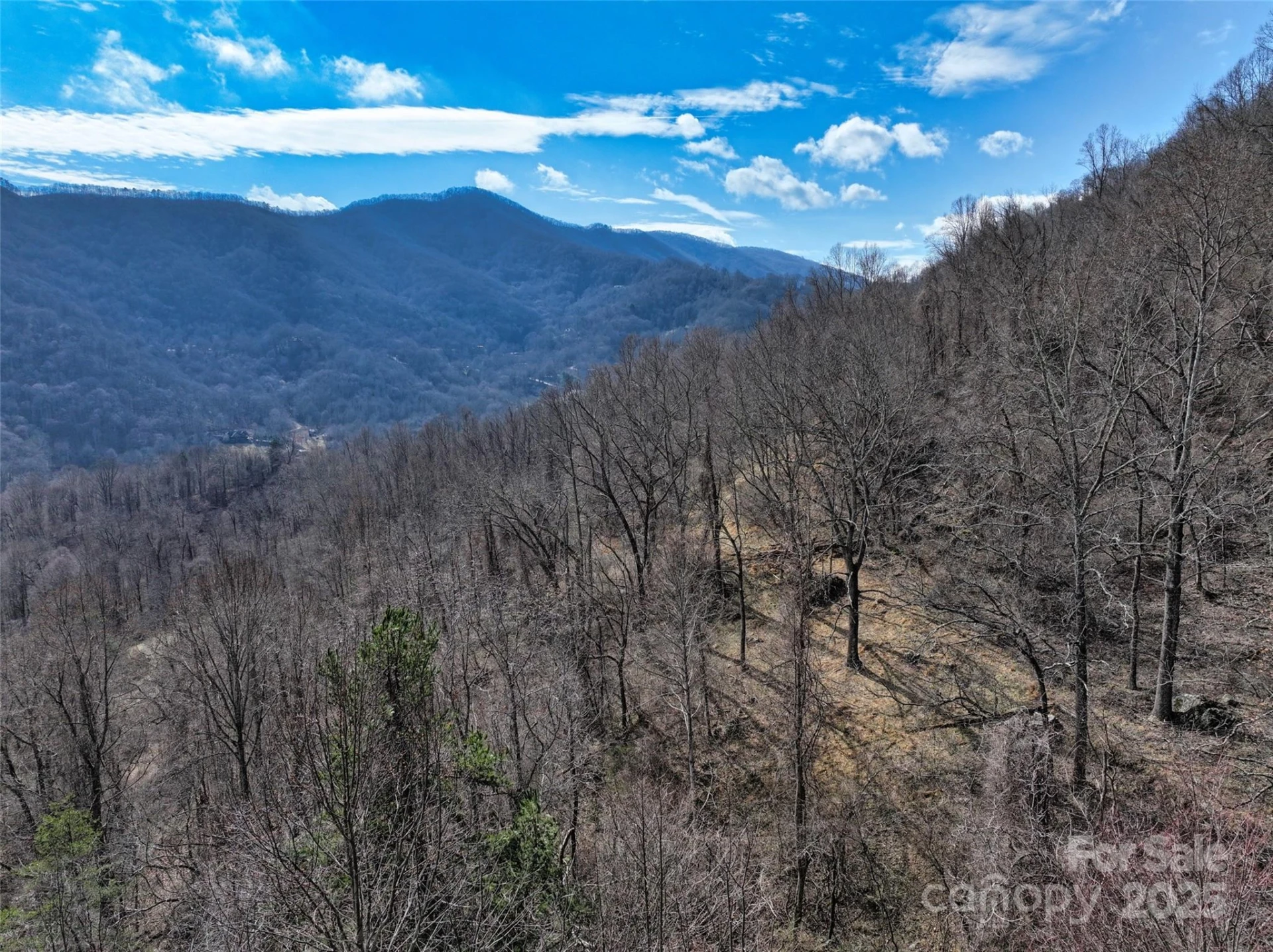 1567 Newfound Road - Photo 41