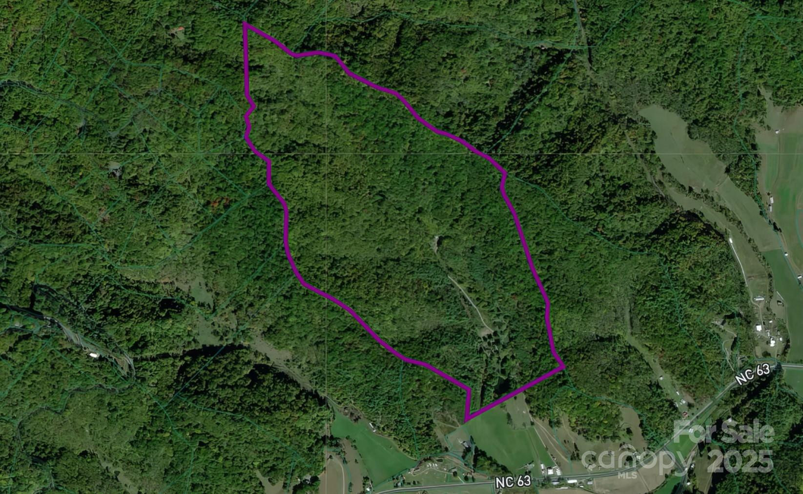 8749 Nc 63 Highway - Photo 2