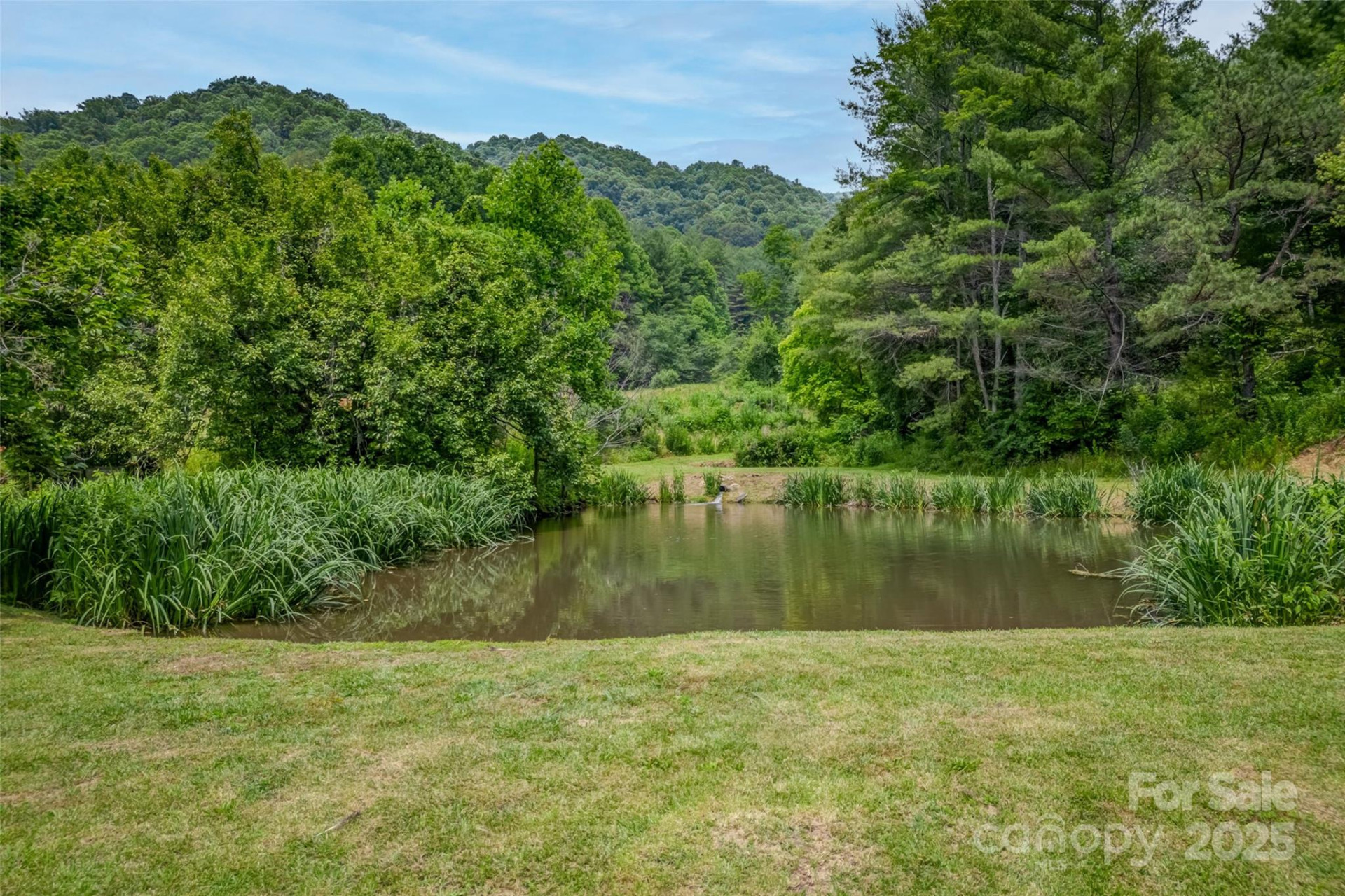 8749 Nc 63 Highway - Photo 5