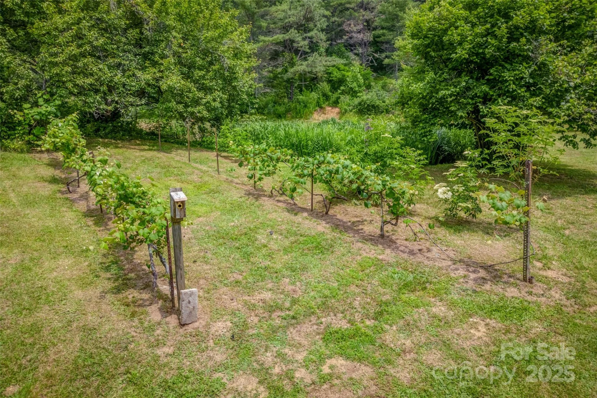 8749 Nc 63 Highway - Photo 45
