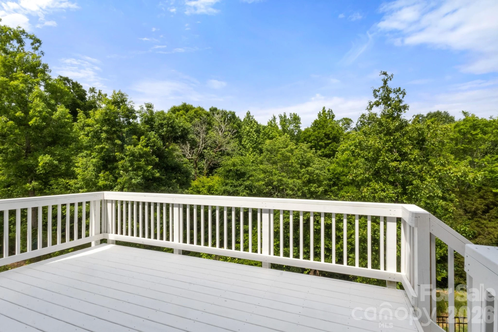 3004 Woodlands Creek Drive - Photo 42