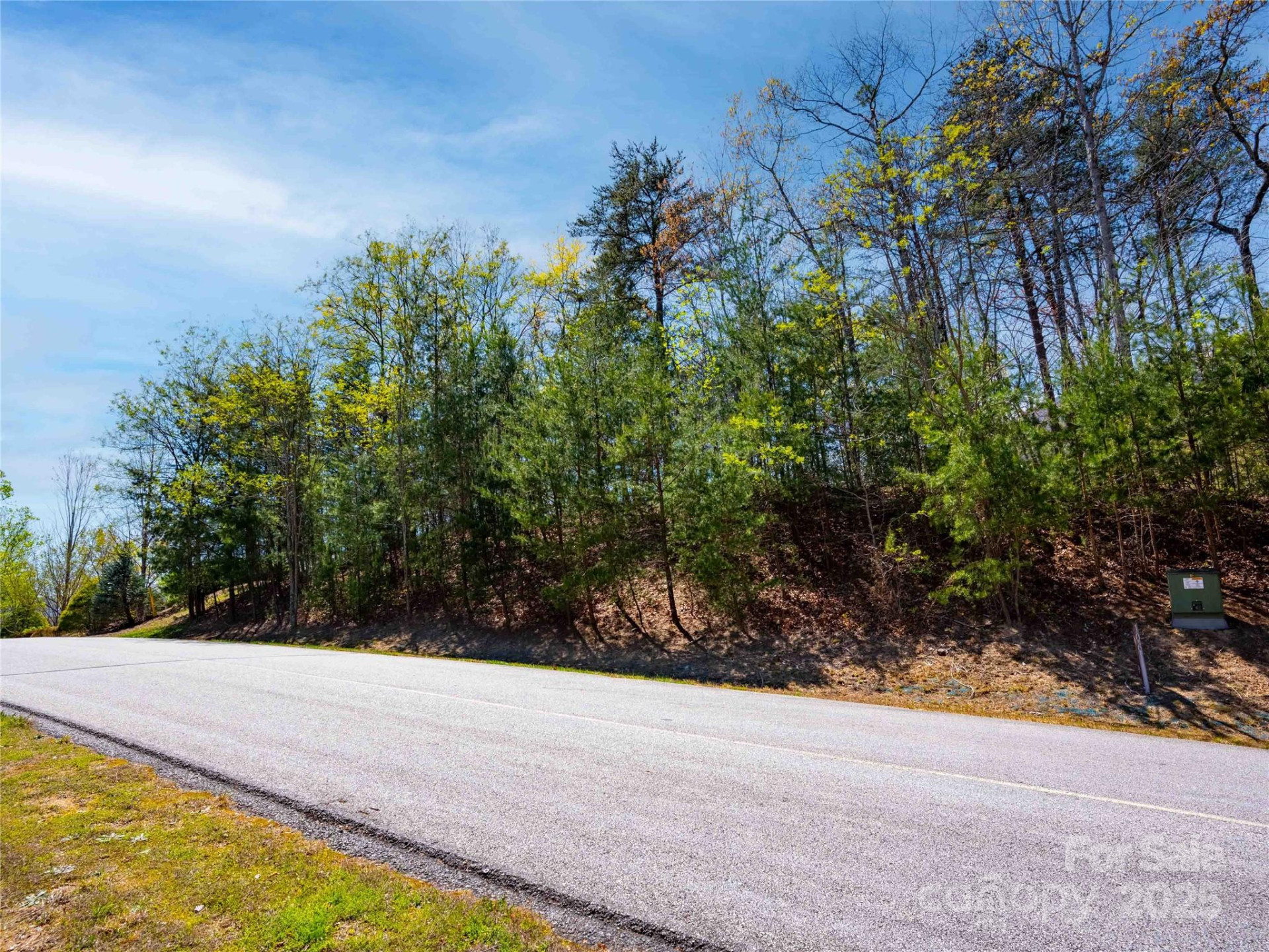 107 Deep Gap Road - Photo 3