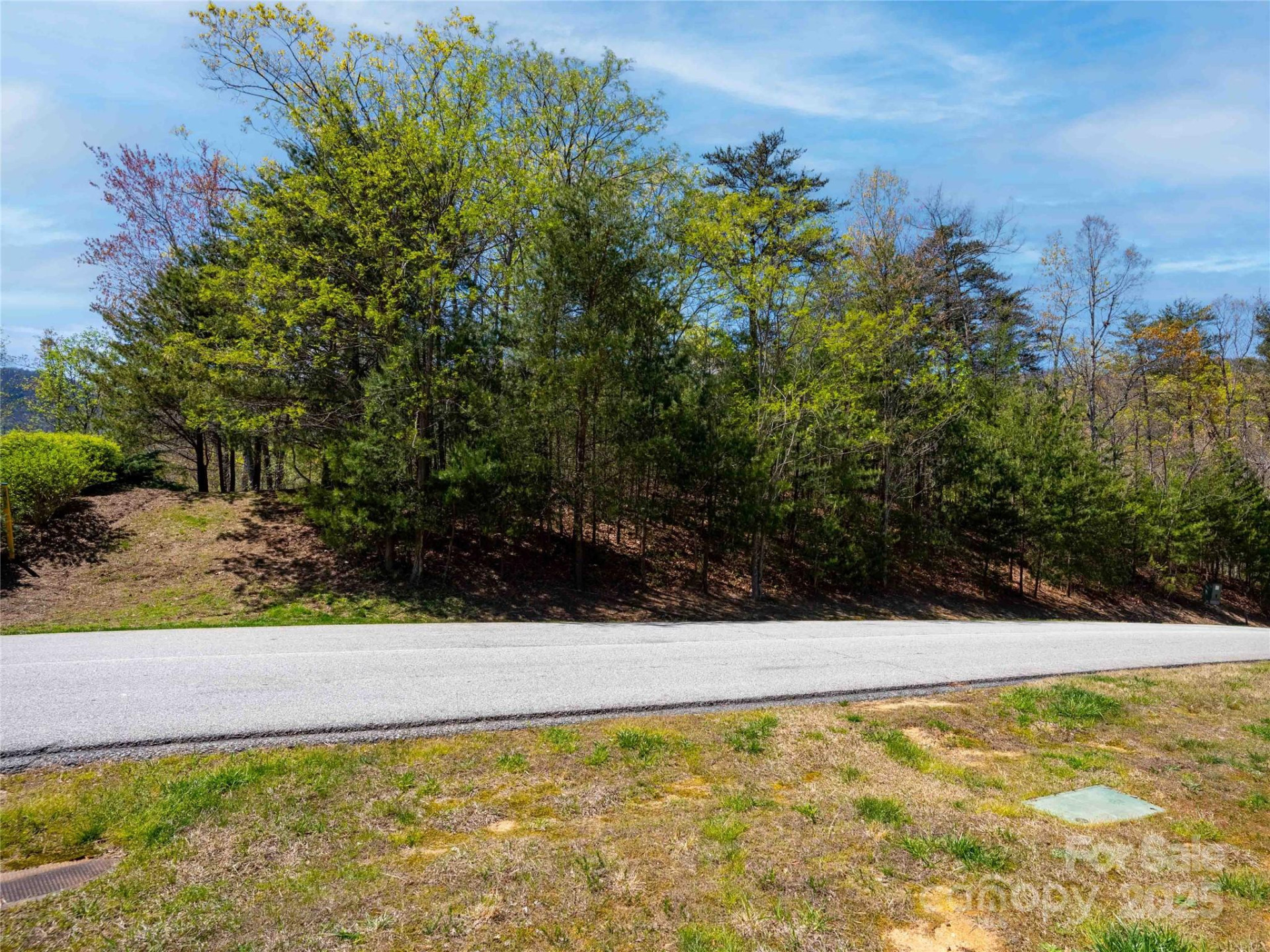 107 Deep Gap Road - Photo 4