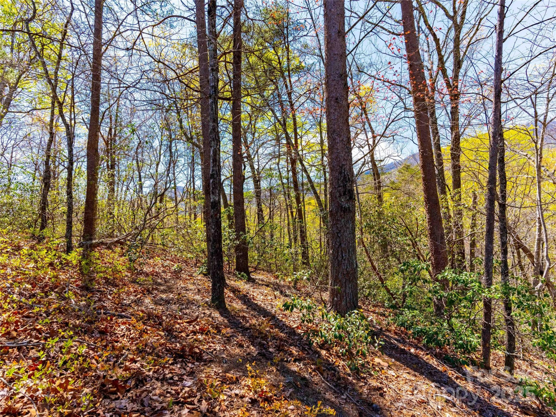 107 Deep Gap Road - Photo 5