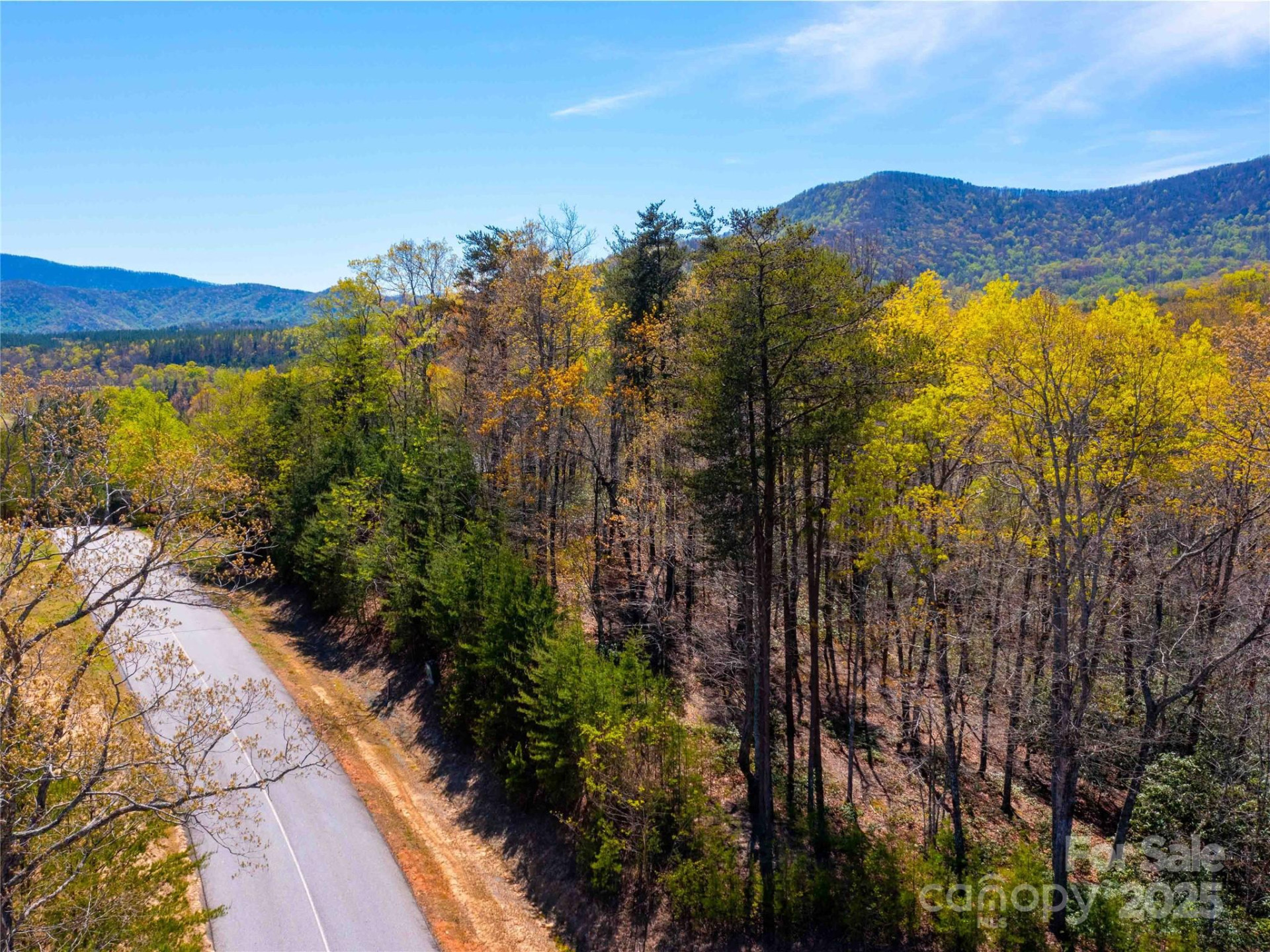 107 Deep Gap Road - Photo 6
