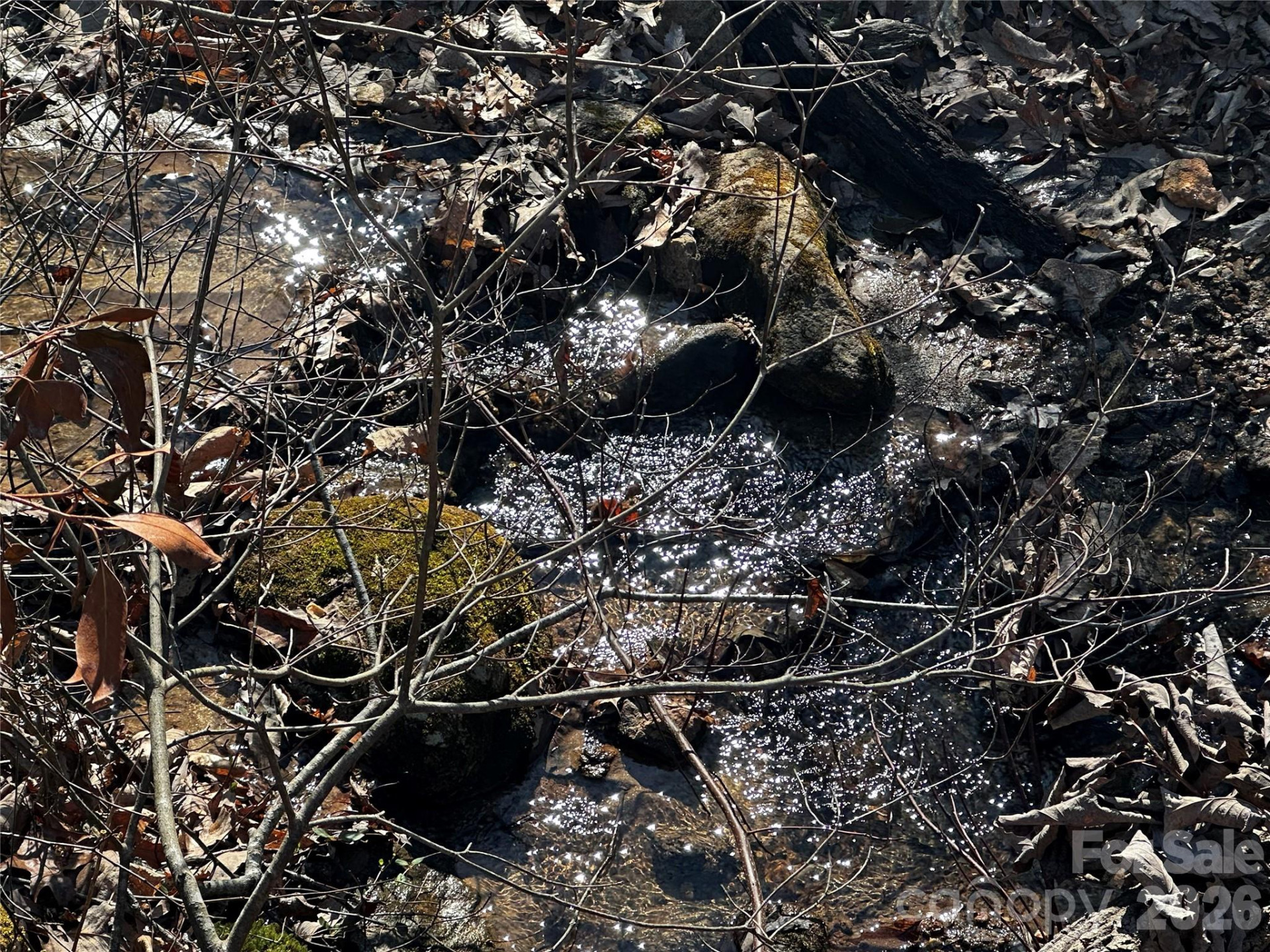 3161 Morganton Furniture Road - Photo 39